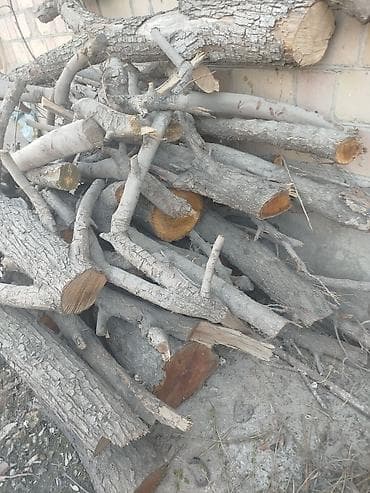 Уголь: Дрова — 2