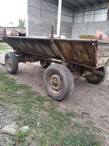 павлин бишкек: Сатам | Жылкы (эркек) — 4