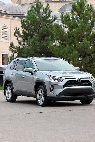 raf: Toyota RAV4: 2020 г., 2.5 л, Автомат, Бензин, Кроссовер — 2