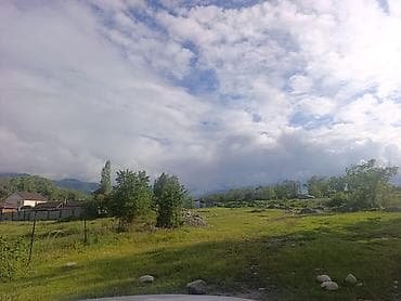 10 соток, Курулуш, Кызыл китеп