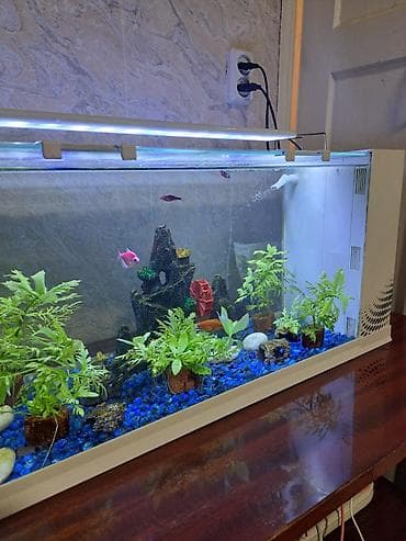 рыбки аквариум: Аквариумный комплект с верхней LED‑подсветкой и встроенной — 1