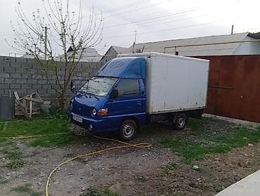 ящик портер 2: Легкий грузовик, Hyundai, Стандарт — 3