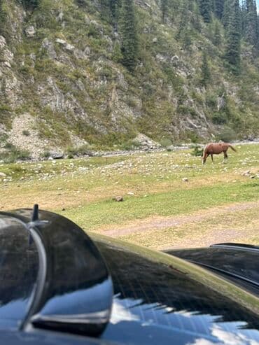 Задний спойлер Mercedes-Benz 2004 г., Новый, Аналог
