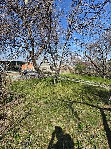 контейнеры дордой цены: Продаётся дачный участок 6 соток в (районе Кок-Жар ) точный адрес — 9