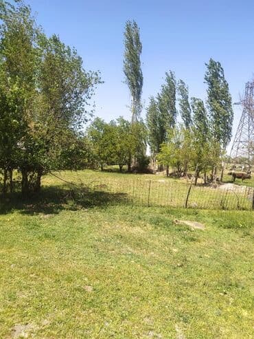 кож завод дом продаю: Сатам Мүйүздүү бодо мал фермасы, 10000 соток, Иштеп жаткан, Жарым-жартылай жабдуулары менен, Электр энергиясы — 13