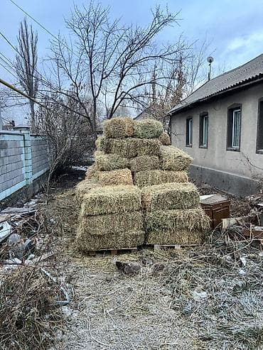 СРОЧНО. ‼️ Сено в тюках. - Спрессованные прямоугольные тюки, удобны