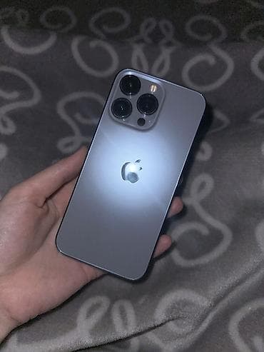 i7 9700f: IPhone 13 Pro, Графит — 3