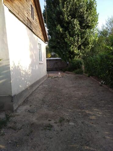 сдаётся квартира дом: Үй, 65 кв. м, 4 бөлмө, Менчик ээси — 8