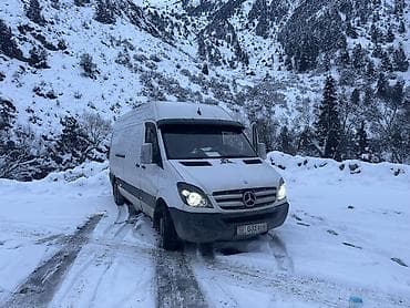 x5 2007: Легкий грузовик, Mercedes-Benz, Стандарт — 2