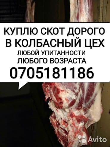 Покупаю с выездом на дом