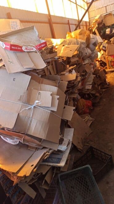 прием макулатуры с выездом: Покупаем макалатура яшики салафаны катушка — 1