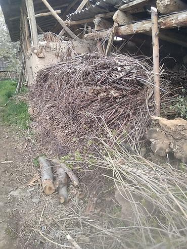 Дрова Самовывоз