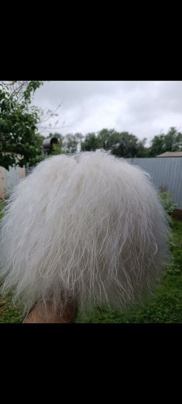 Внимание папахи есть тут фанаты хабиба нурмагомедова??? Оригинал