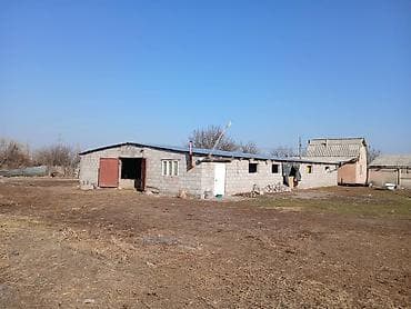 Коммерческая недвижимость: Farm КРС, 18 соток, Электричество — 3