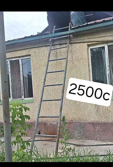 Услуги: Скупка ковров, Ковры и паласы, С самовывозом — 4