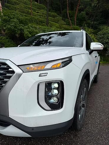 byd leopard: Hyundai Palisade: 2020 г., 2.2 л, Автомат, Дизель, Кроссовер — 4