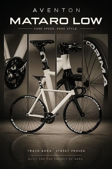 aro 24: ФИКС: Aventon mataro low & cervelo carbo (реплика) Виллсет: на — 5