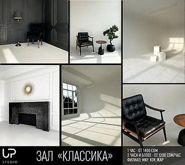 фон для студии: Аренда фотостудии: зал «Классика» (Без учета услуг фотографа) — 1