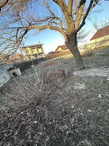 ак жол раздольный: 5 соток, Для строительства, Красная книга — 4