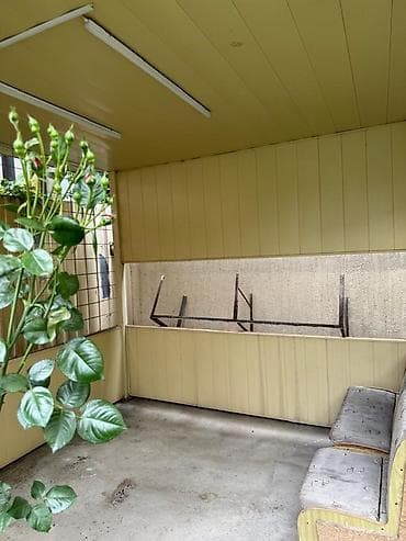 село боконбаева: Сдаётся уютный дом в аренду 🏡 В доме: — 2 комнаты — кухня — ванная — 6