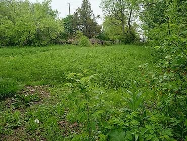 Кыймылсыз мүлк: 5 соток, Айыл чарба үчүн — 2