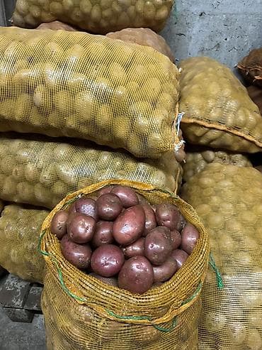 Кургатылган жемиштер, жаңгактар, снектер: Картошка — 1