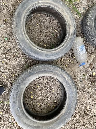 Шины 205 / 55 / R 16, Лето, Пара, Легковые, Pirelli