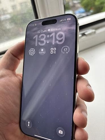 apple display: IPhone 16 Pro, 256 ГБ — 1