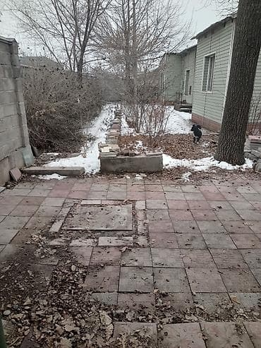 бишкек восток 5: 11 соток, Бизнес үчүн, Кызыл китеп, Техпаспорт — 4