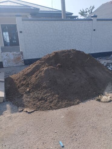 малина купить саженцы: Чернозем Образование происходит естественным путем без вмешательства — 1