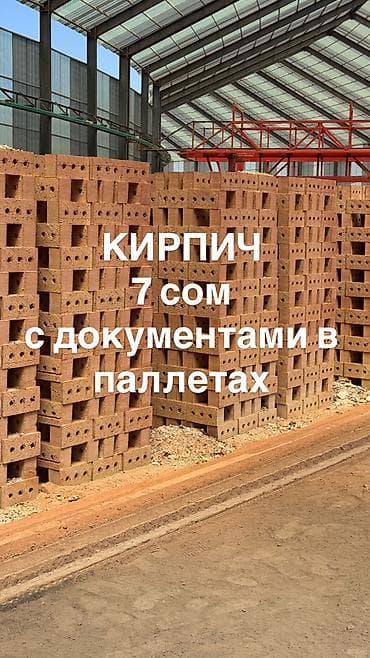 поддон куплю: Кирпич пустотелый (перфорированный), керамический. Подходит для — 1