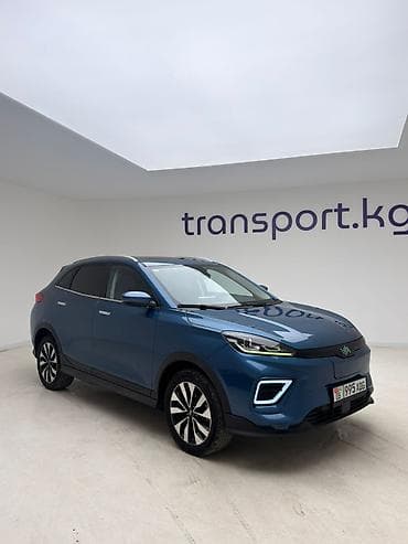 спойлер б4: Weltmeister EX5, 2022 г., 82000 км, Передний, В наличии — 1