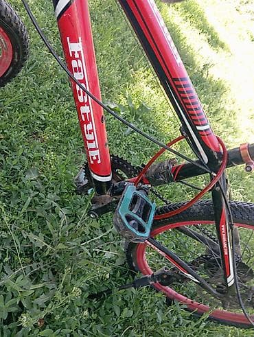 Другой транспорт: Горный велосипед Fastyle (28) - Рама: стальная, хардтейл, размер M — 2