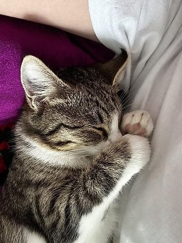 бу шуба: У неё есть страница в инстаграм с 960 подписчиками. Ожерелье для — 7