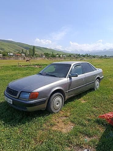 Audi: Audi 100: 1991 г., 2.3 л, Механика, Бензин, Седан — 2