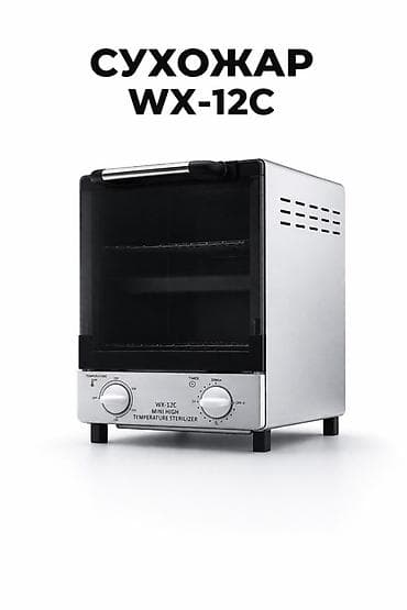 Сухожаровый шкаф WX-12C (Mini High Temperature Sterilizer) Компактный