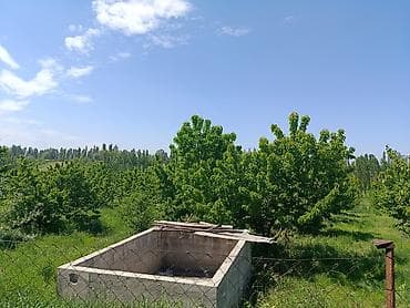 земля посевная: 60 соток, Для сельского хозяйства — 3