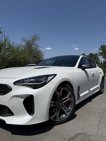Транспорт: Kia Stinger: 2019 г., 2 л, Автомат, Бензин, Фастбек — 2