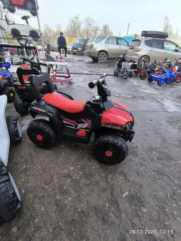 муравей детский: Детские машинки-каталки/квадроциклы аккумуляторные цены разные - Тип — 10