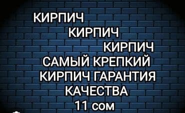 Пустотелый, дырчатый, Жженый кирпич, Полублок, 250×120×90 at lalafo.kg Пустотелый, дырчатый, Жженый кирпич, Полублок, 250×120×90