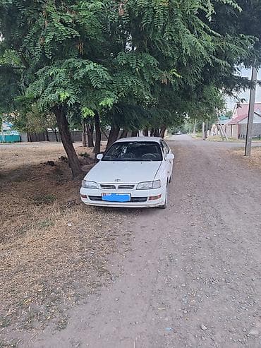 195 65: Toyota Carina E: 1995 г., 1.8 л, Механика, Бензин, Хэтчбэк — 1