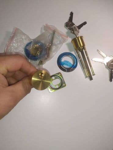 tracker: Ключевой цилиндр(личинка)электромеханического замка.Для тех у кого — 4