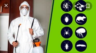 уничтожение клоп блох: Дезинфекция!!!любой сложности (*❛‿❛)→Приемлемая цена (*❛‿❛)→Качество — 4