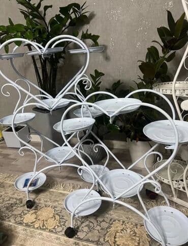 купить комнатные цветы в бишкеке: Комнатные декоративные растения в кашпо 1) Толстянка (Crassula ovata — 27