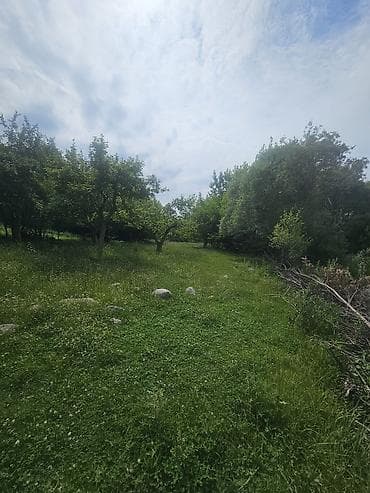 31 соток, Бизнес үчүн, Техпаспорт, Сатып алуу-сатуу келишими — 4