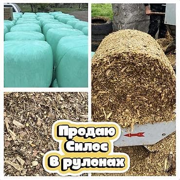 Силос в рулонах. Продаю Силос в городе Кара-Балта! - Упаковка at lalafo.kg Силос в рулонах. Продаю Силос в городе Кара-Балта! - Упаковка