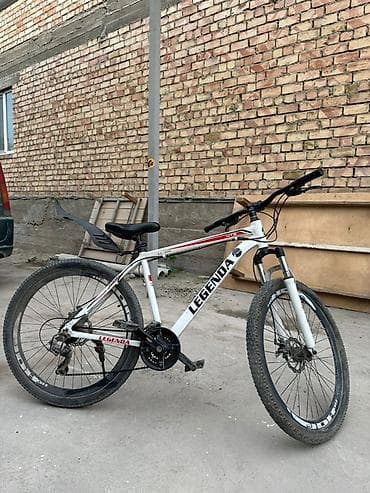 vin code: Горный велосипед LEGENDA MTB - Рама: алюминиевая, хардтейл, геометрия — 4
