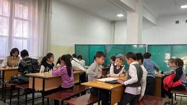 Башка курстар: Преподователь Арабского и тренер по шахматам. Кандидат в мастера — 5