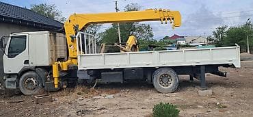 морда на рекс: Манипулятор, Renault — 2