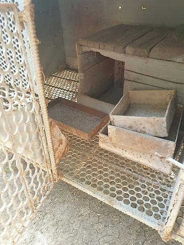 каракол кошка: Продаю кролятники полностью железные с кормушками и матачниками. Один — 3